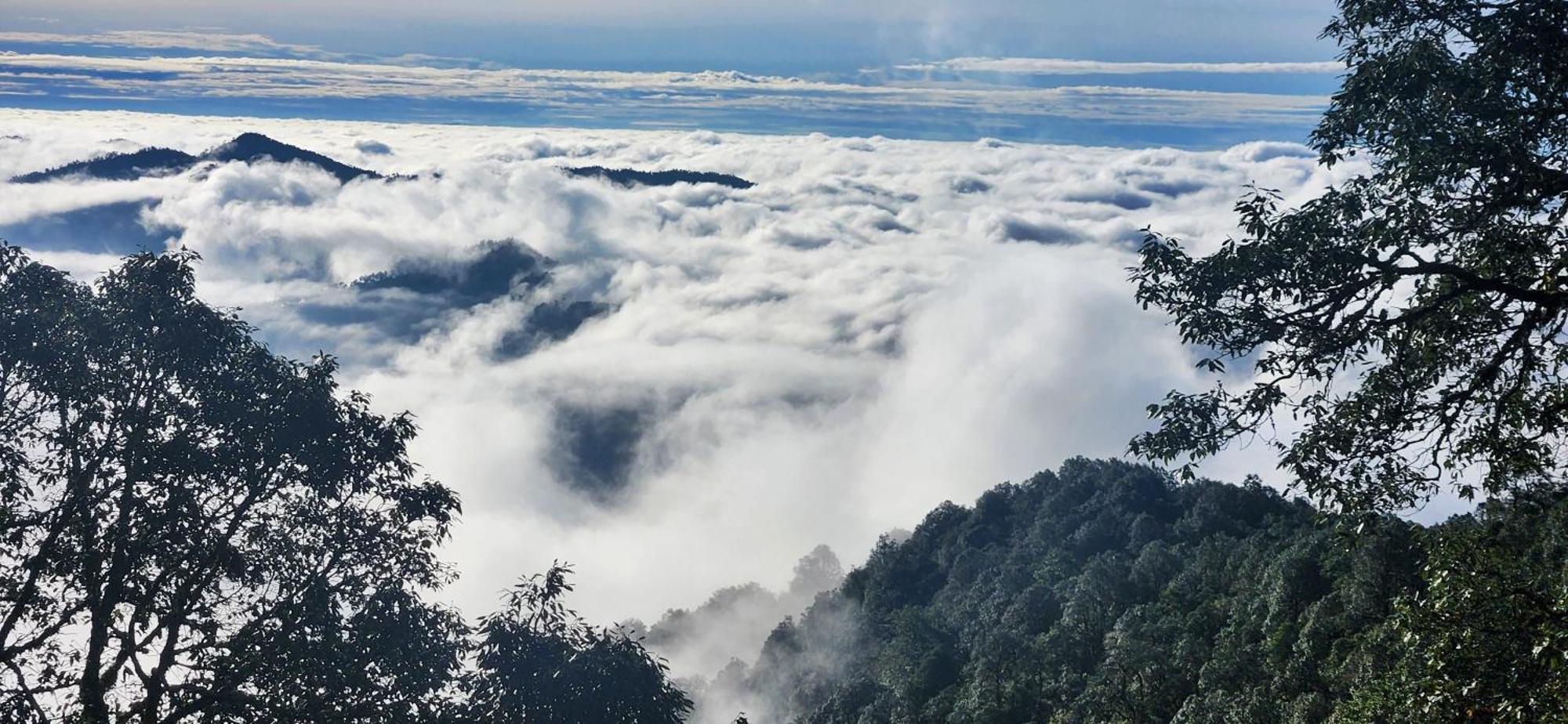 Simba Jungle Lodge, Binsar Wildlife Sanctuary Exterior photo