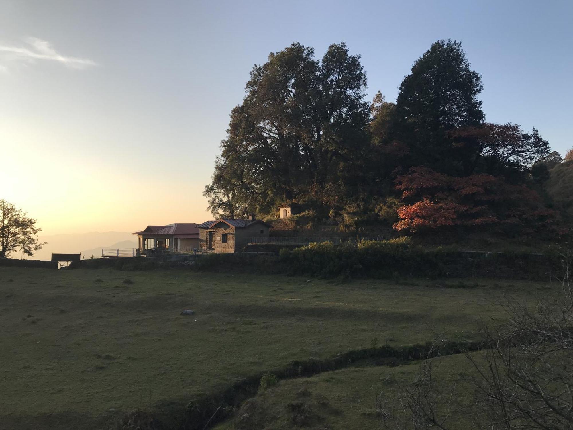 Simba Jungle Lodge, Binsar Wildlife Sanctuary Exterior photo