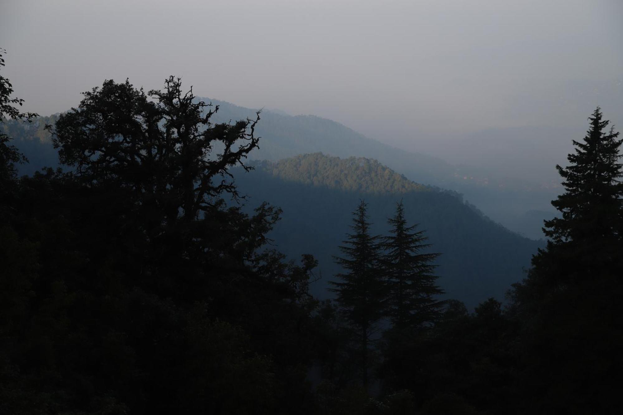 Simba Jungle Lodge, Binsar Wildlife Sanctuary Exterior photo