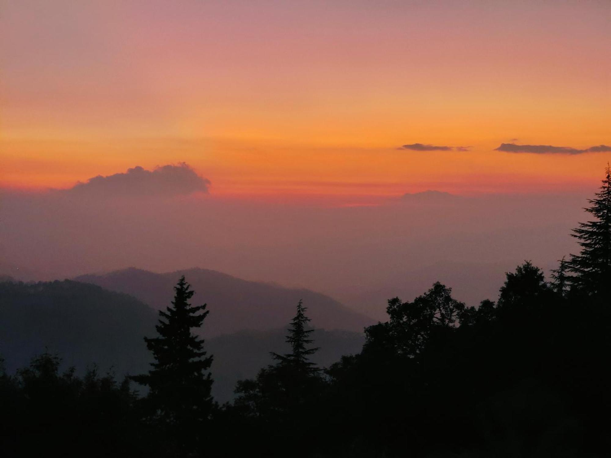 Simba Jungle Lodge, Binsar Wildlife Sanctuary Exterior photo