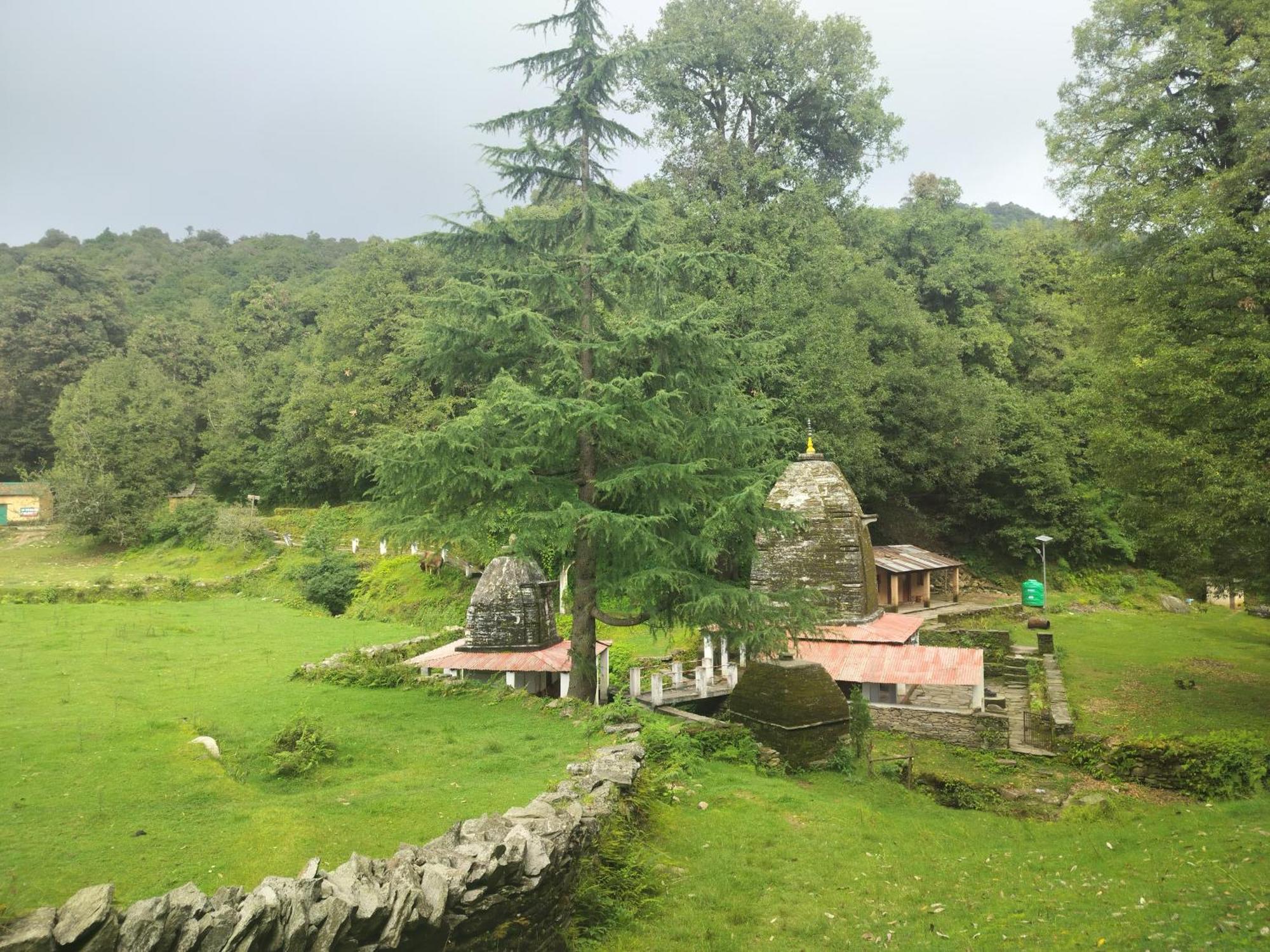 Simba Jungle Lodge, Binsar Wildlife Sanctuary Exterior photo