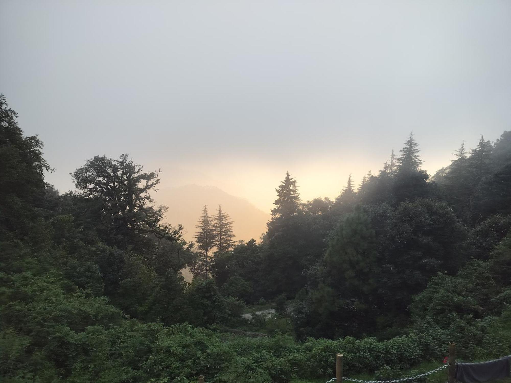 Simba Jungle Lodge, Binsar Wildlife Sanctuary Exterior photo