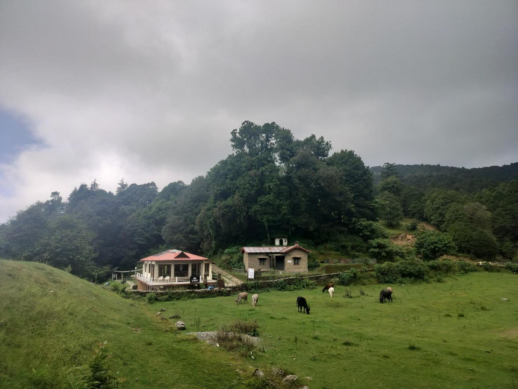 Simba Jungle Lodge, Binsar Wildlife Sanctuary Exterior photo
