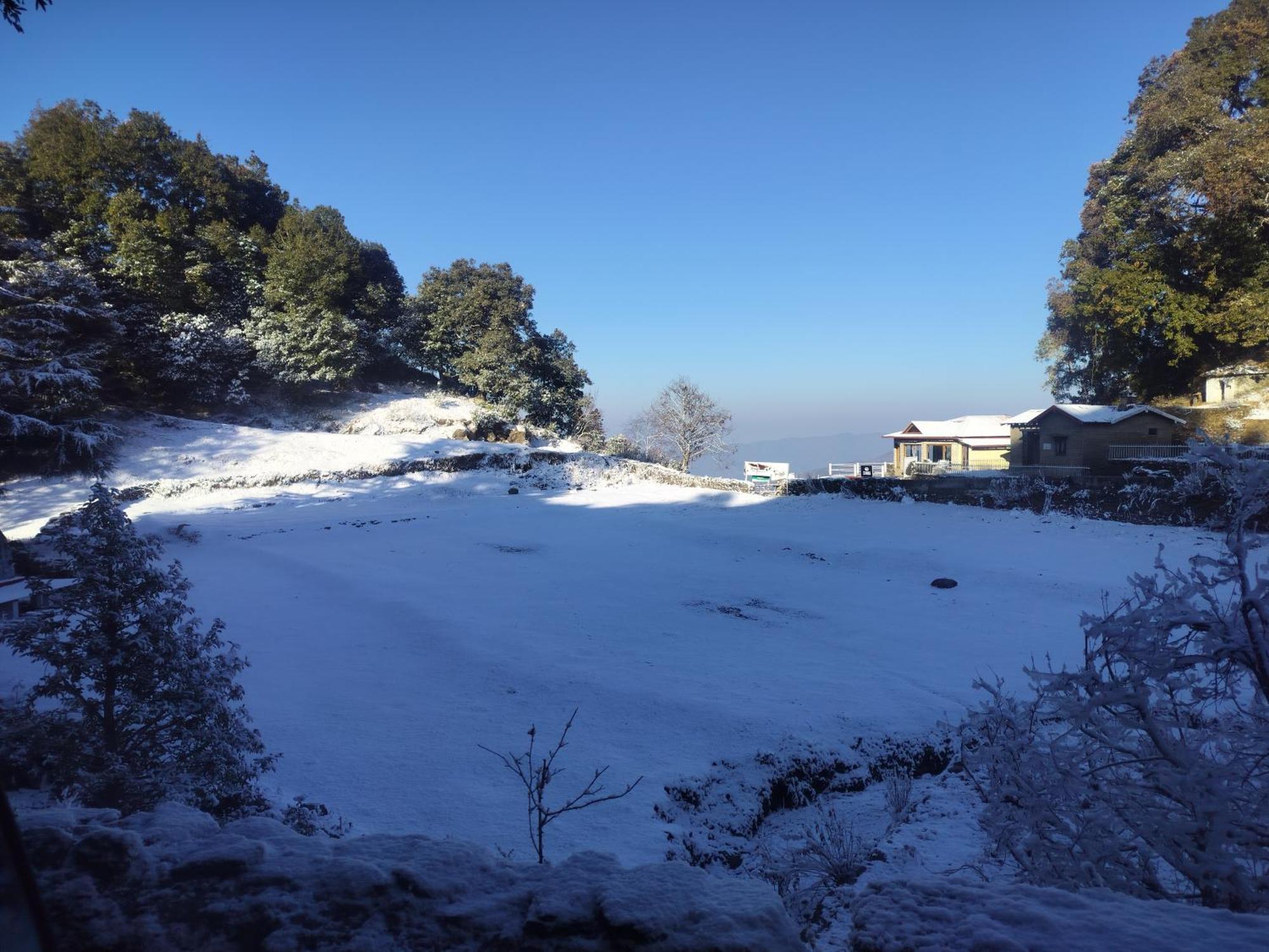 Simba Jungle Lodge, Binsar Wildlife Sanctuary Exterior photo