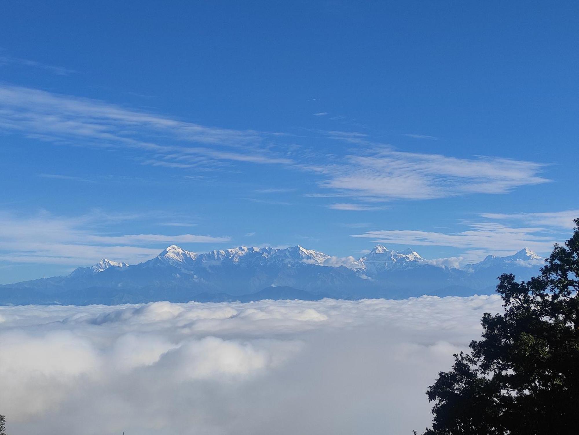 Simba Jungle Lodge, Binsar Wildlife Sanctuary Exterior photo
